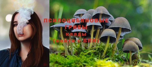 тгк Наволоки