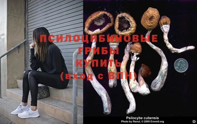 Галлюциногенные грибы MAGIC MUSHROOMS  что такое   Крымск 