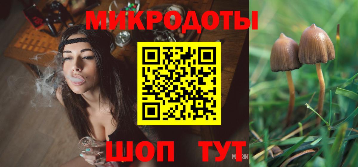 Галлюциногенные грибы MAGIC MUSHROOMS  Крымск  Галлюциногенные грибы Cubensis 