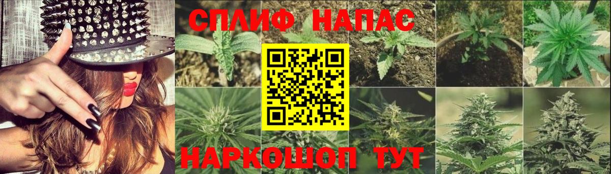 Канабис ГИДРОПОН Крымск